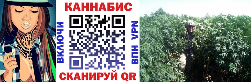 Конопля марихуана  Лакинск 